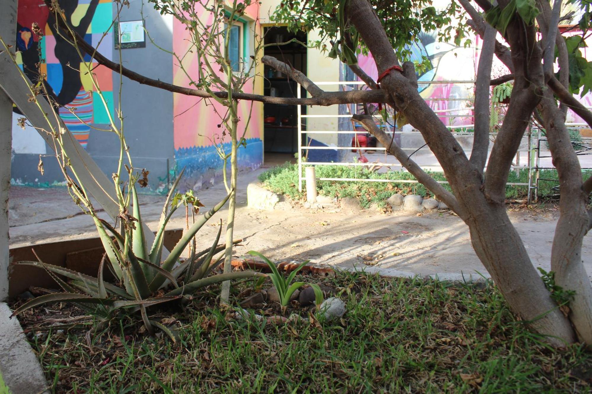 Hostel Posada De Gallo Arica Exterior foto
